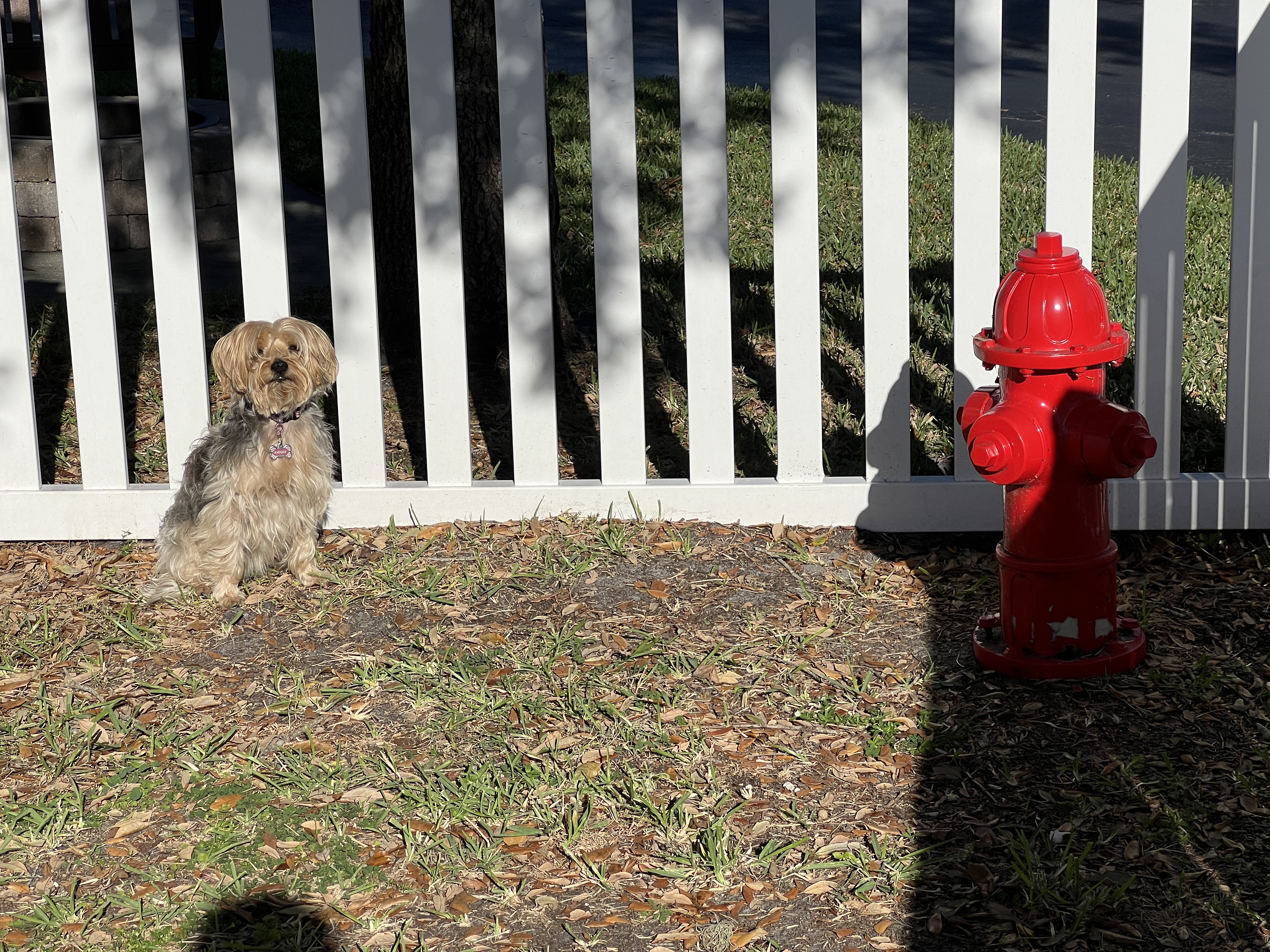 ./2024/12 - Thanksgiving/IMG_3844.JPG